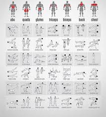 Here Is An Exercise Chart To Help You Workout Every Part Of