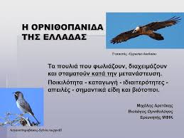 Check spelling or type a new query. Ta Pthna M Drettakhs S 3hroyxakhs Fauna Of Greece