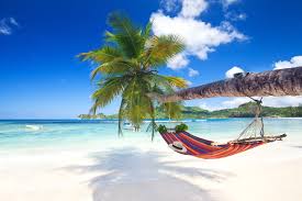 They were nothing in france but are kings in thailand. Paradise Beach Fiji Arrivalguides Com