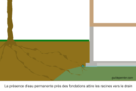Maybe you would like to learn more about one of these? Fondations Et Fissures Affaissement Des Sols Argileux