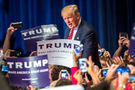 Image result for the net closes in on donald trump