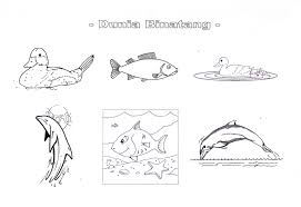 Gambarbaru gambar buah buahan untuk diwarnai. Sketsa Mewarnai Untuk Anak Evi Gustami