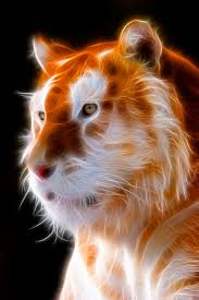  Fractalius Golden Tiger R Wallpapers Big Cats Art Cat Art Lion Art