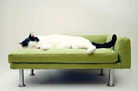 We did not find results for: And Finally The Perfect Cat Sized Chaise Lounge Modern Pet Beds Pet Chaise Lounge Modern Pet Furniture