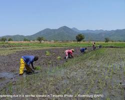 Image of Field Crops Research