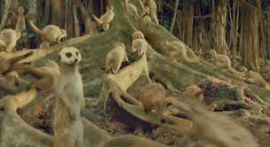 Hayvan ile i̇nsan arasındaki dostluğu en iyi anlatan pi'nin yaşamı adlı film, 2012 yılında çıktığından bu yana sayısız ödüller kazanıp macera dolu bir filmdir. Pi Nin Yasami Agnostisizmden Mistisizme Bir Yol Arayisi Ve Tasavvufi Bir Yamyamlik Hikayesi Salih Cenap