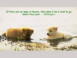It was her role in someone to watch over me (. Heaven Quotes Will Rogers Dogs Quotesgram