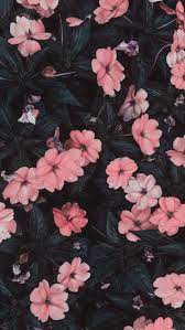 Free pink flowers background photos. Flowers Wallpaper And Pink Image Iphone Lock Screen Wallpaper Flower 710x1260 Wallpaper Teahub Io