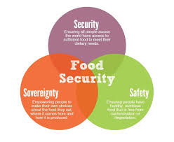 Image result for Food Insecurity Resources