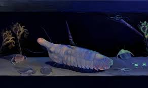 Image result for Osyridicarpos