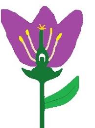 Maybe you would like to learn more about one of these? Sexual Reproduction In Plants