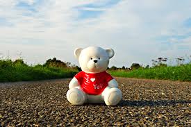 The site has a ton of great features which should be good enough to get you the right result when searching for a partner or friend. 5 Dating Sites For Disabled Singles To Consider Bestsinglesdatingsite Com 2021