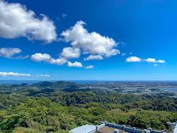 関東の登山初心者は360度眺望が楽しめる大楠山ハイキングから始めてみようぜ ハイキングコース 登山 日帰り