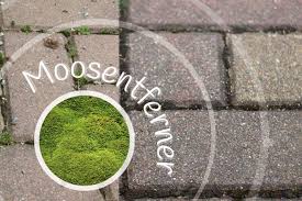 Moosentferner 9 Naturliche Hausmittel Zum Entfernen Von Moos