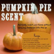 Pin On Healthy Home Tips