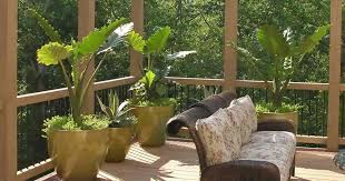 Fast delivery, safe ship warranty! 12 Best Patio Plants For Container Gardening