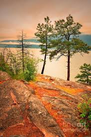 Welcoming The Morning Scenery Vernon Bc Nature