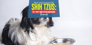 In this section, we will cover all feeding guidelines for shih tzu puppies and dogs. Best Dog Food For Shih Tzus In 2020 The 10 Vet Recommended Brands