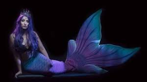 Terbuat dari bahan spandex bahan baju renang dengan aksen glitter yang membuat terkesan mewah cantik. Demi Jadi Putri Duyung Wanita Ini Rela Resign Kerja