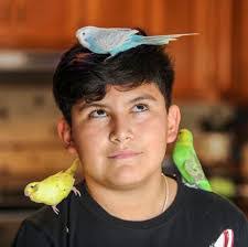 Nathan Bird's Instagram, Twitter & Facebook