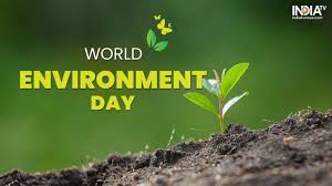 As the theme for world environment day 2021 is ecosystem restoration, in this worksheet we have included listening and watching activities, speaking and vocabulary tasks dedicated to the environment in general and to different ecosystems as well. Vyjpfdirti59em