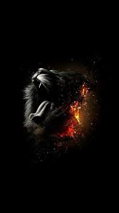 Google Image Result For Https Funmary Com Wp Content Uploads 2019 01 Best Iphone Wallpapers 8 Jpg In 2020 Lion Wallpaper Iphone Lion Wallpaper Best Iphone Wallpapers