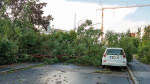 Zahlreiche gewitter hagel und überschwemmungen: Baume Fallen Wie Streichholzer Unwetter Sorgt Fur Chaos In Franken Region Nordbayern