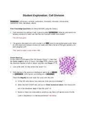 Cell division worksheet answer key. 3 1 Celldivision Student Exploration Cell Division Vocabulary Cell Division Centriole Centromere Chromatid Chromatin Chromosome Cytokinesis Dna Course Hero