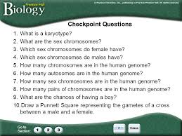 Lesson summary karyotypes a genome is the full set of all. Go To Section Unit 6d Esex Linked Traits Pedigrees This Needs To Be Separated Into Two Sections And The Sex Link Traits Need To Be Expanded To Include Ppt