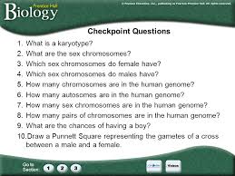 A.these cells are called somatic cells or body cells. Go To Section Unit 6d Esex Linked Traits Pedigrees This Needs To Be Separated Into Two Sections And The Sex Link Traits Need To Be Expanded To Include Ppt