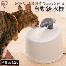 楽天市場 最大350円offクーポン配布中 ペット用 自動給水機 ホワイト クリア pwf 200自動給水器 給水器 食器 水 自動 交換 ペット ペット用 ペット用品 犬 イヌ いぬ 犬用 犬用品 猫 ねこ 猫用 ネコ用 ねこ用 猫用品 ネコ用品 アイリスオーヤマ irispoint キャット