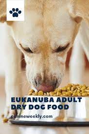 Pin On Canine Weekly