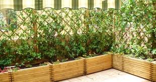 Brise Vent Pour Balcon Et Terrasse Quel Type Choisir Balcon Terrasse Deco Terrasse Brise Vent Terrasse