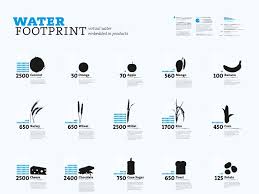 The Virtual Water Project Would Like To Show How Much Fresh Water Is Used To Produce Everyday Food Products Lear Water Footprint Water Projects Infographic