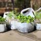 Winter Sowing Hands-on Workshop
