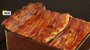 【速報】ニホンウナギ含むウナギ全種類を国際取引の規制対象に ...