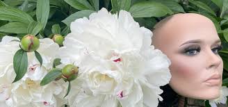 Donna Michelle up against a 1964 sketch frame of Empress💖I LOVE All 10 of  my Camilla plants Yuletide, Drama Girl, Professor Sargent, October Rose,  just a few.