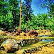 Explore guest reviews and book the perfect holiday home for your trip. Photos At Ulu Bendul Waterfall Seremban Negeri Sembilan