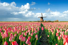 We did not find results for: 23 Spring Flower Pictures From Around The World Conde Nast Traveler