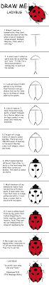 Draw And Learn Ladybug Easy Drawings Draw Animal Drawings