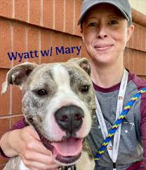 Cuyahoga County Animal Shelter