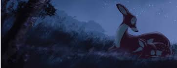 Hope And Freckles: Fleeing To A Better Forest (Bill Kiley)