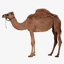 Pin On الفصول الأربعة والطبيعة