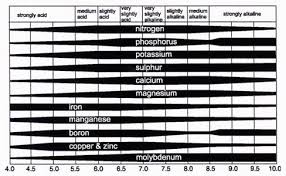 All You Need To Know About Ph And Nutrient Availability