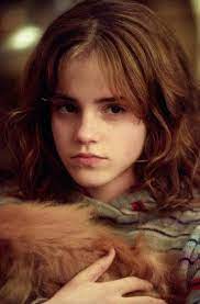 Pin On Harry S Gal Hermione