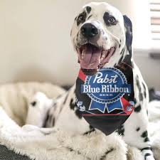 Read reviews from world's largest community for readers. C Joy Pabst Blue Ribbon Beer Logo Dog Bandana Collars Triangle Neckerchief Bibs Scarfs Pet Cats