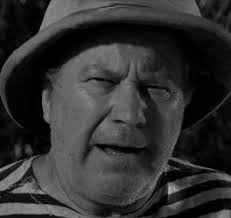 Edgar Buchanan filmography