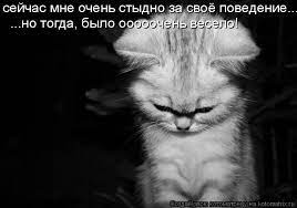 Котоматрица: сейчас мне очень стыдно за своё поведение... ...но тогда, было  оooooчень весело!