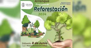 Foto del proyecto 8