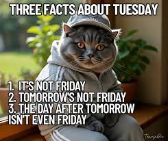 images?q=tbn:ANd9GcTTUNVhZiDLA3nJ4zVdnxY